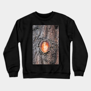 Interesting Image in Trea Trunk Crewneck Sweatshirt